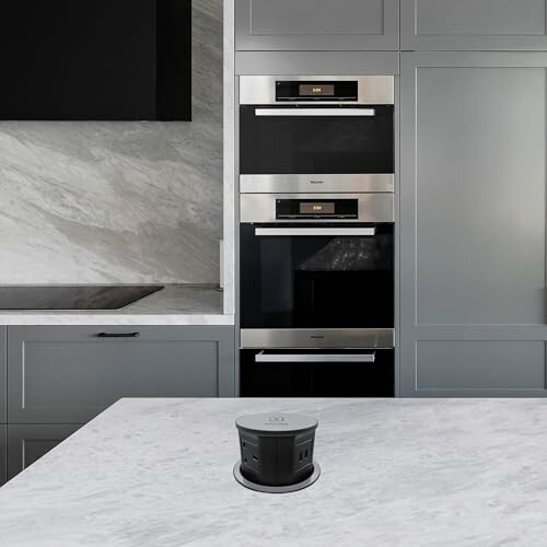 Modern kitchen with built-in ovens and marble countertop.